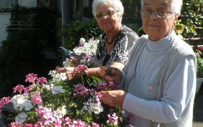 Spätsommer