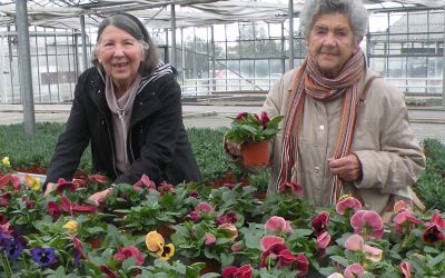 Herbst- und  Winterflor