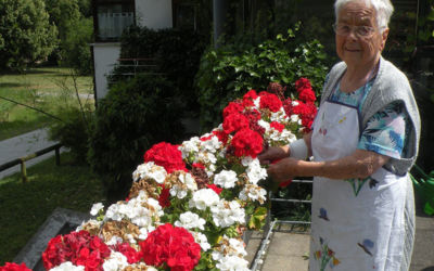 Blumenflor